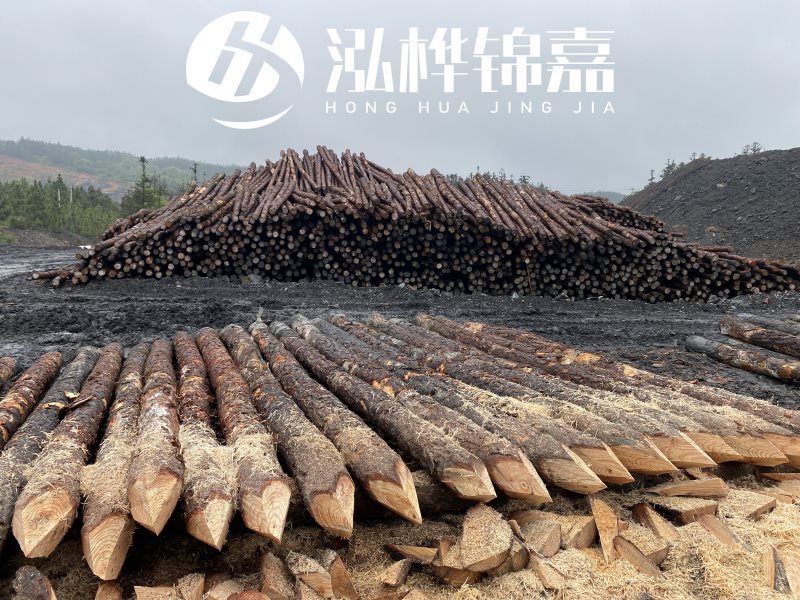 6米長松木樁有哪些作用，多少錢一根？