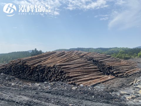 河道打樁為什么選擇松木樁來處理軟地基？-松木樁施工使用范圍