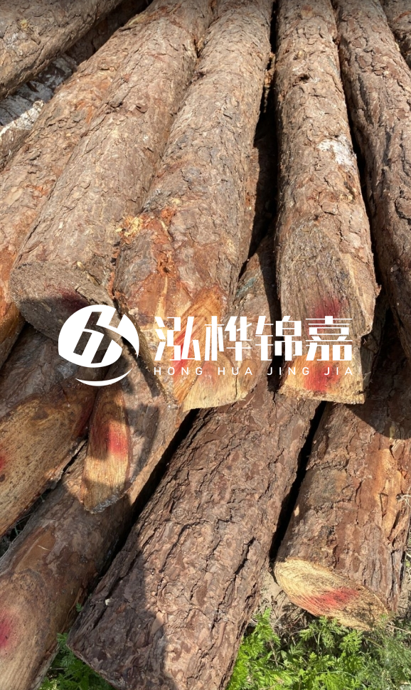 <strong>松木樁和杉木樁的用途區(qū)別？哪個更適合打樁用？</strong>