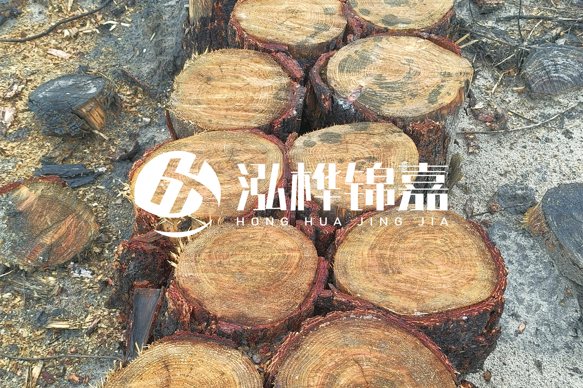 浙江臺(tái)州有清淤的公司嗎？浙江臺(tái)州有清淤施工隊(duì)嗎？