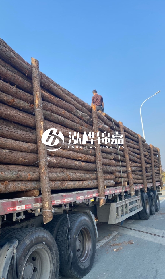 煙臺(tái)挖機(jī)打木樁專業(yè)施工-打防汛木樁后如何進(jìn)行加固？