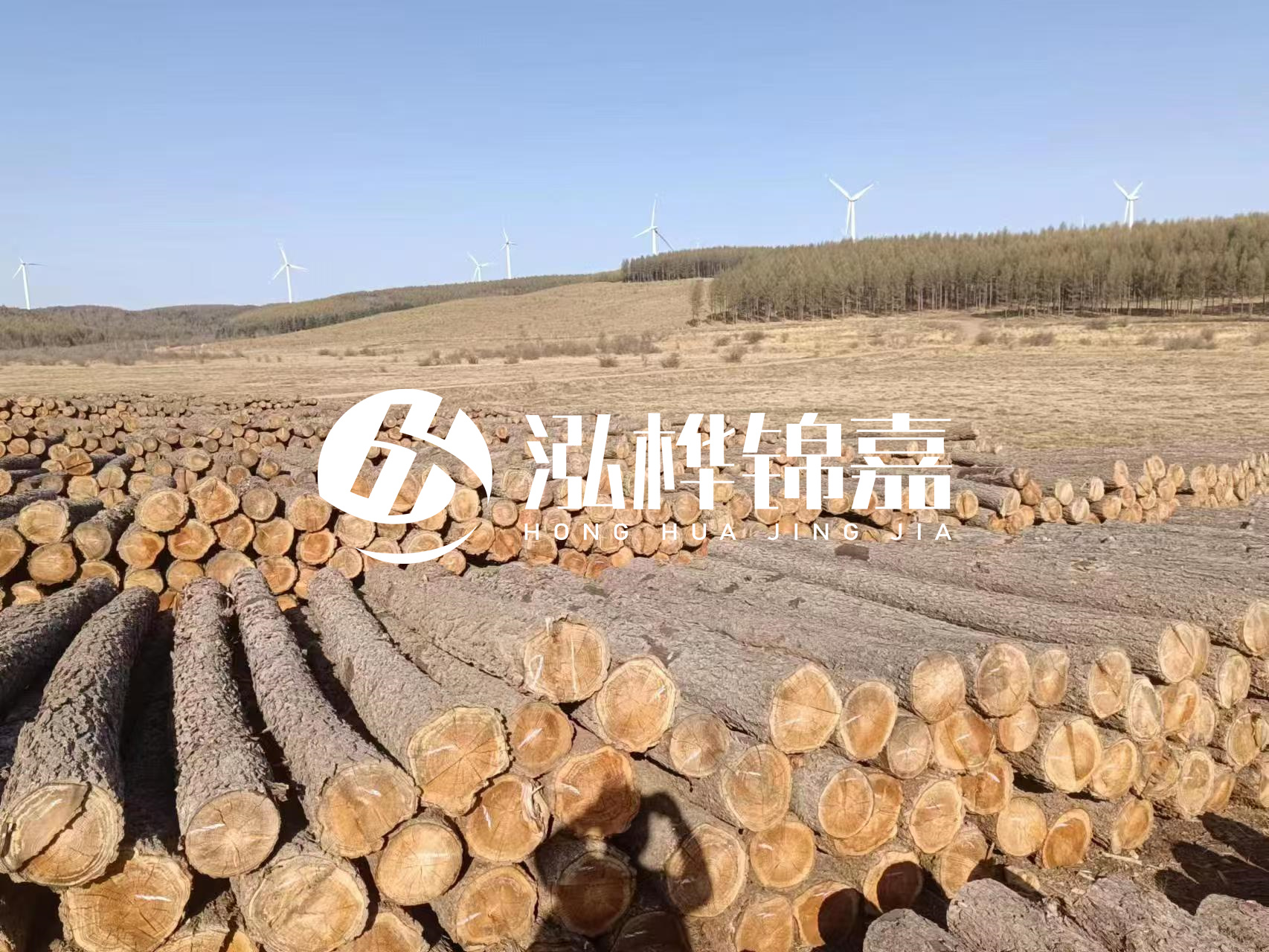 咸寧松木樁源頭廠家-哪里能買(mǎi)到質(zhì)量好的松木樁打樁木？