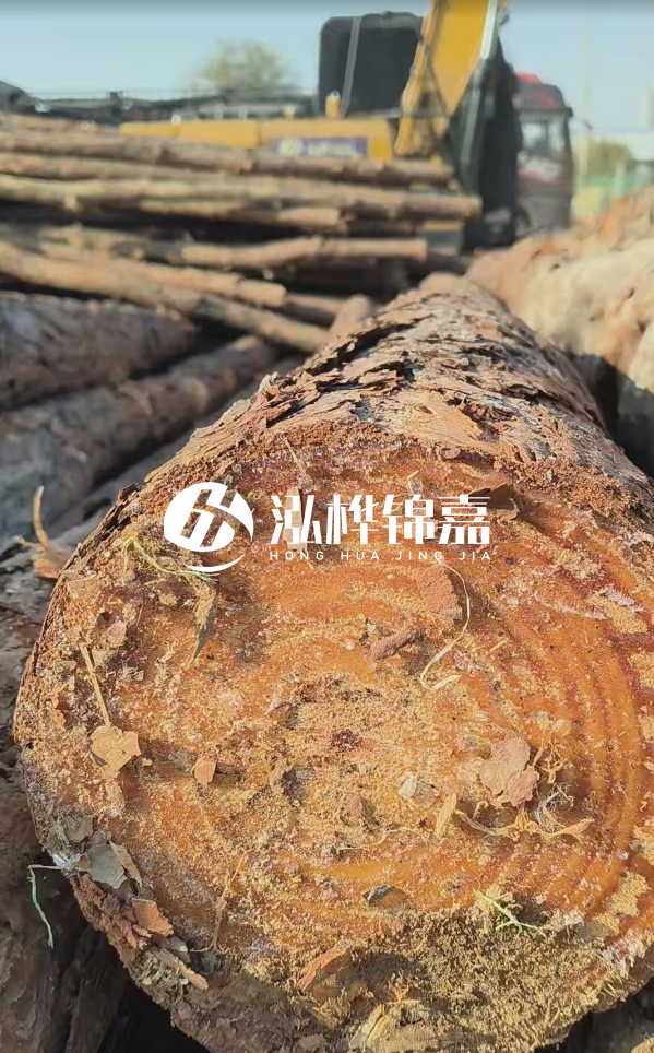杉木樁價(jià)格多少錢一方-3米直徑14公分杉木樁價(jià)格？