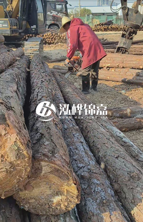 長沙打樁木批發(fā)廠家在哪里？聯(lián)系方式是什么？