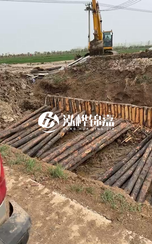4米直徑12-13油松批發(fā)價最低多少？報價含稅含運嗎？