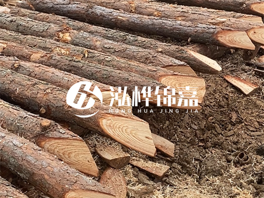 松木樁削尖的費用怎么算？按根收費還是包含在單價里？