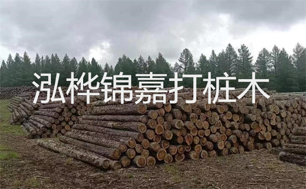選擇紅磚護(hù)坡，打造獨(dú)特的美麗景觀(guān)