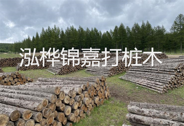 預(yù)制松木樁施工工藝：優(yōu)質(zhì)材料，高效快速，堅(jiān)固耐用