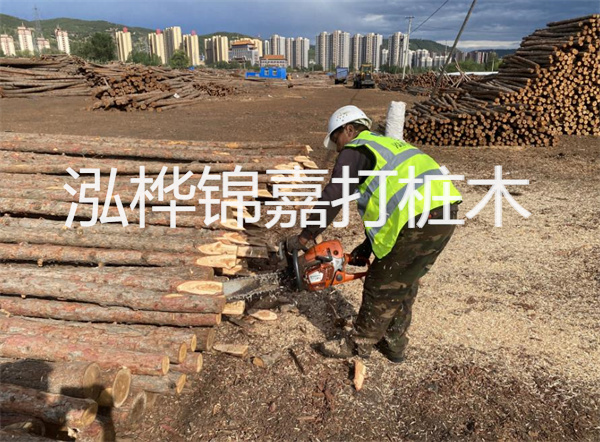 工地上打樁的目的是什么，地基打木樁用什么木材